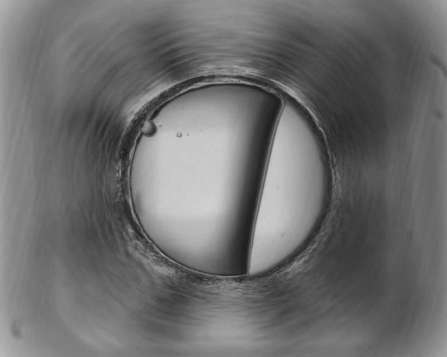 X0000103170971200808221124