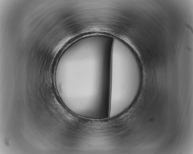 X0000103170972200808221124