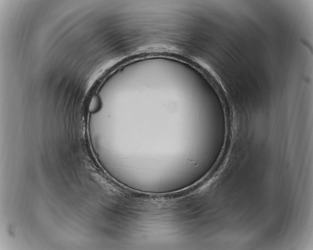 X0000103170973200808221124