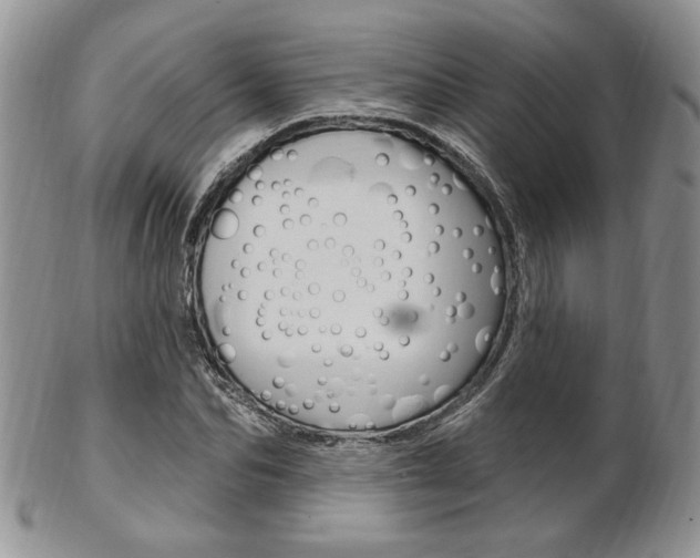 X0000103170974200808221124