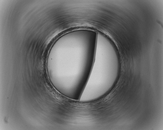 X0000103170975200808221124
