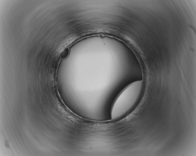X0000103170977200808221124