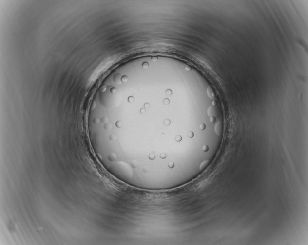 X0000103170978200808221124