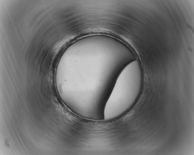 X0000103170979200808221124