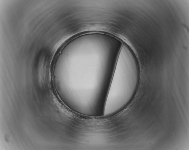 X0000103170980200808221124