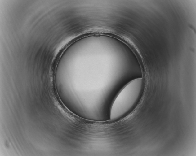 X0000103170981200808221124