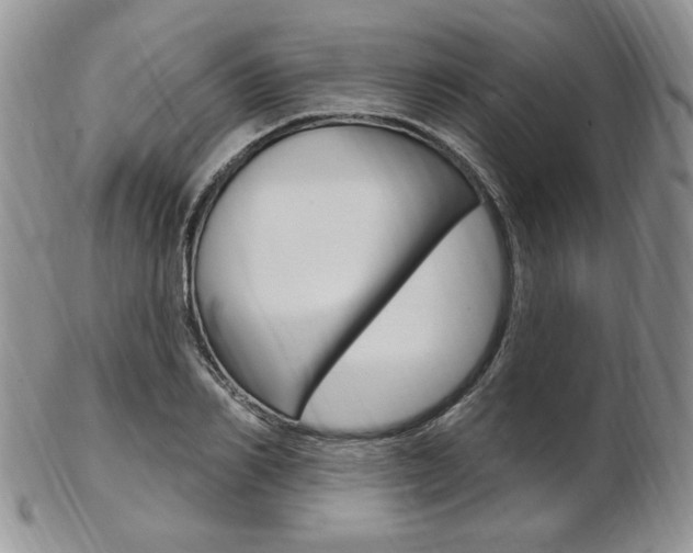 X0000103170982200808221124