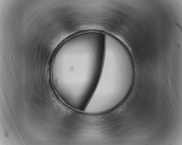 X0000103170983200808221124