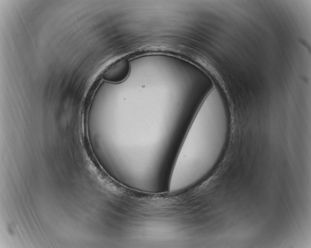 X0000103170984200808221124