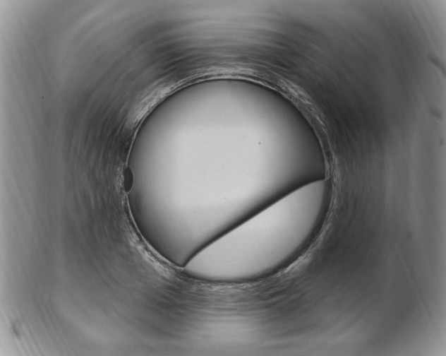 X0000103170985200808221124