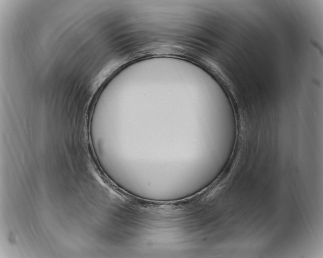X0000103170986200808221124
