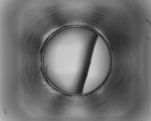 X0000103170987200808221124