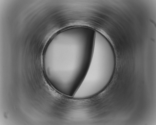 X0000103170988200808221124
