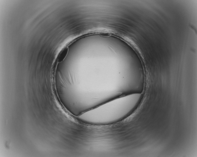 X0000103170989200808221124