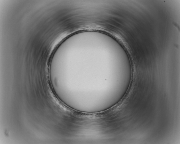 X0000103170990200808221124