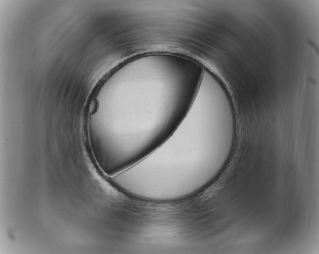 X0000103170991200808221124