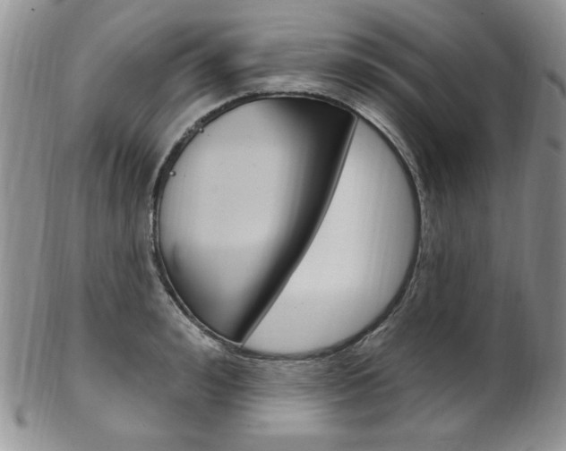 X0000103170992200808221124