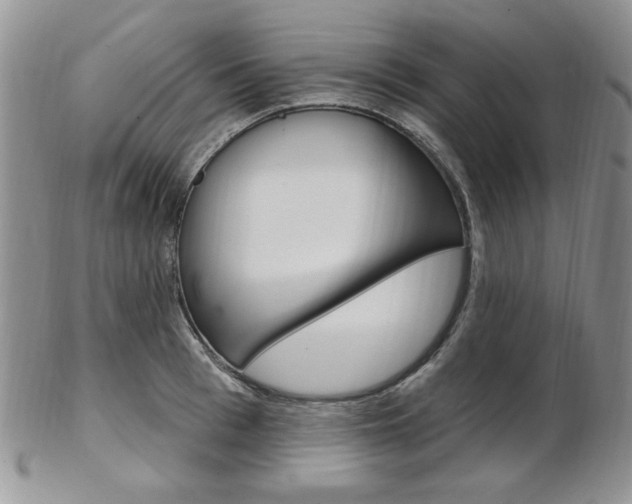 X0000103170993200808221124