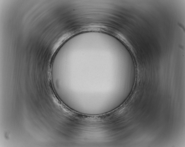 X0000103170994200808221124