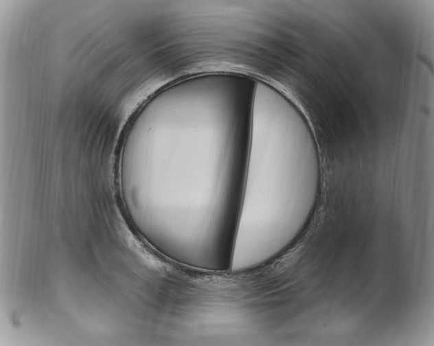 X0000103170995200808221124