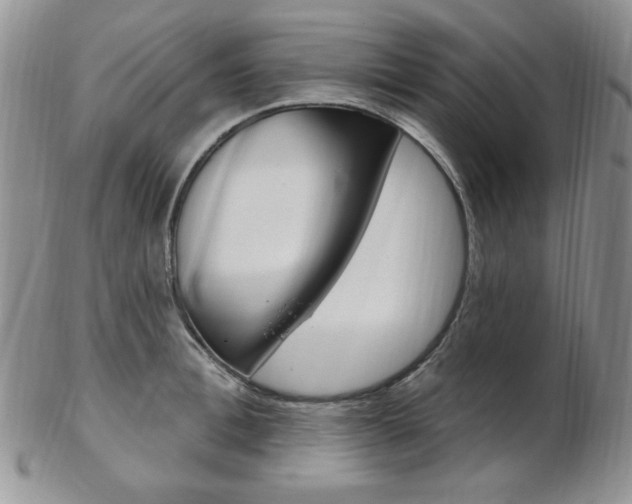 X0000103170996200808221124