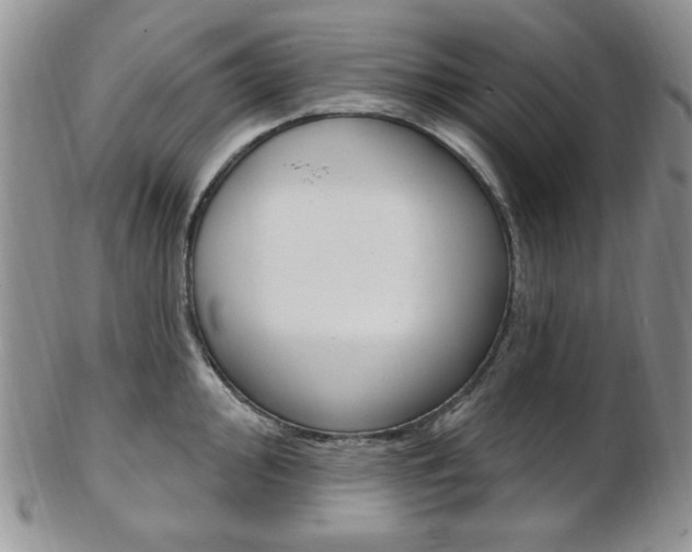 X0000103171000200808221124
