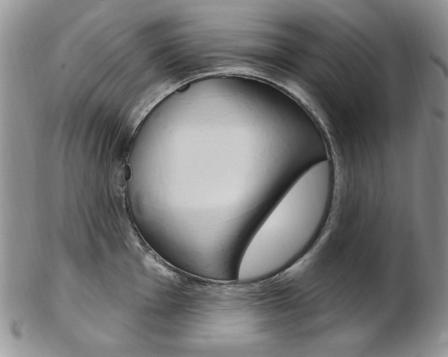 X0000103171001200808221124