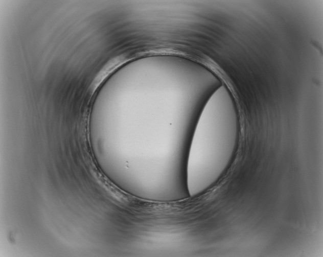 X0000103171002200808221124