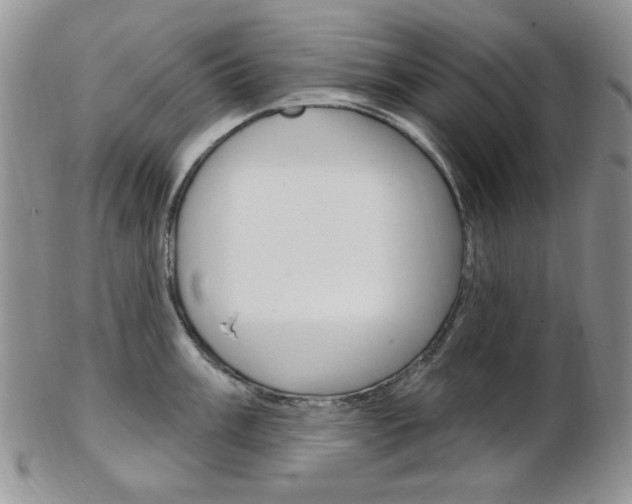 X0000103171003200808221124