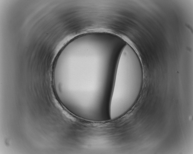 X0000103171005200808221124