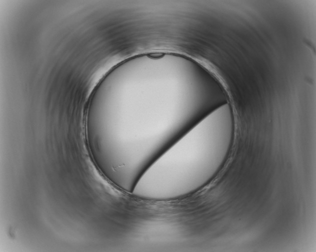 X0000103171006200808221124