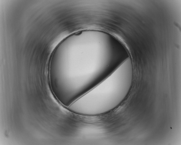 X0000103171007200808221124