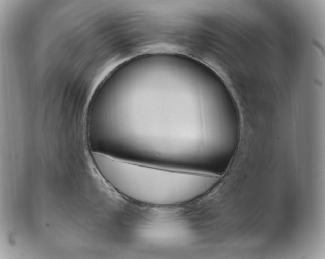 X0000103171008200808221124