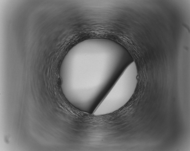 X0000103171009200808221123