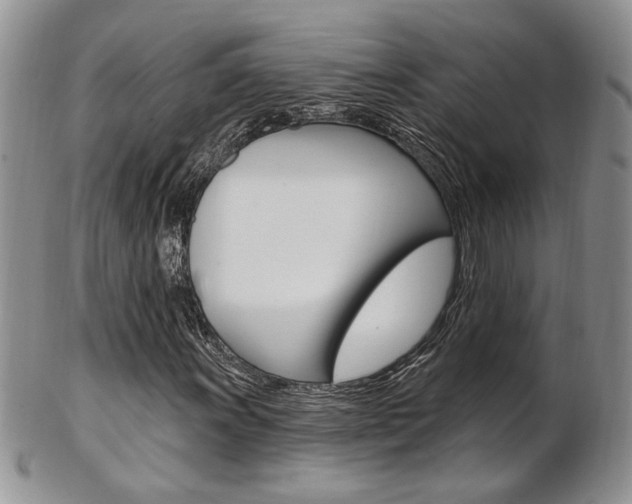 X0000103171011200808221123