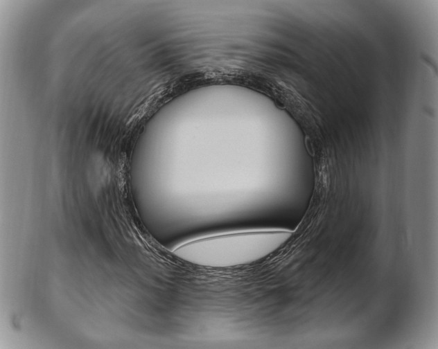 X0000103171012200808221123