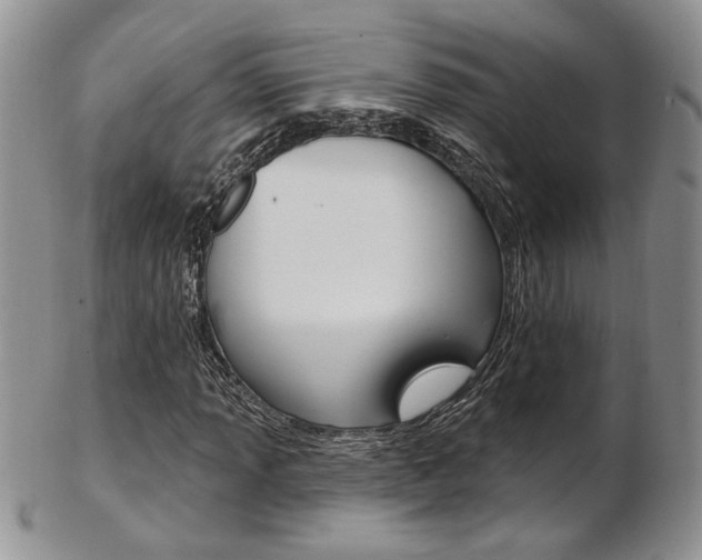 X0000103171013200808221123