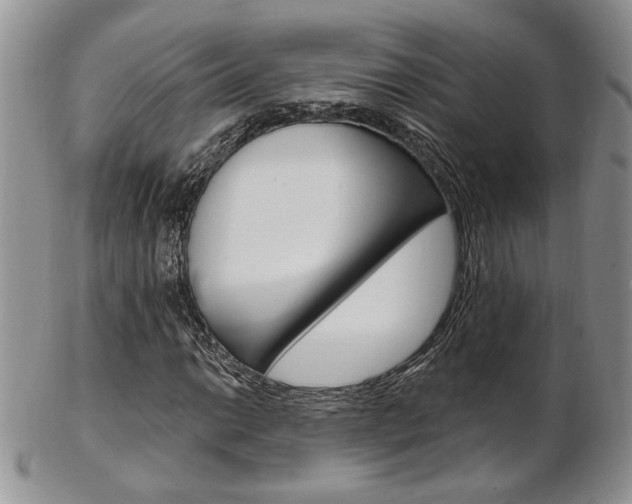 X0000103171014200808221123