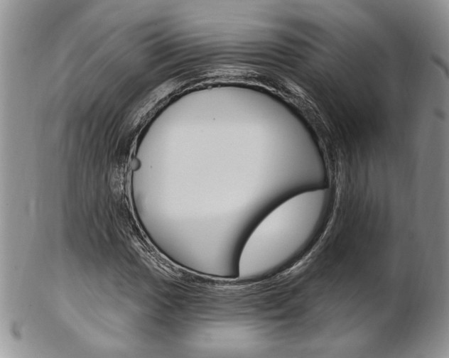 X0000103171017200808221123