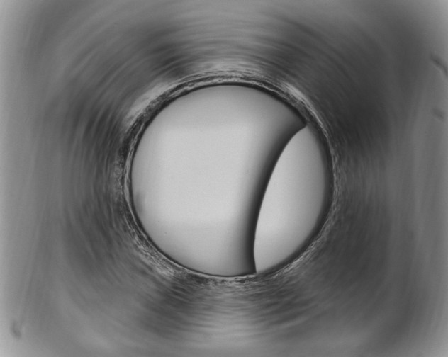 X0000103171019200808221123