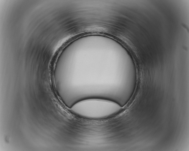 X0000103171022200808221123
