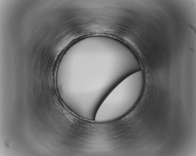 X0000103171023200808221123