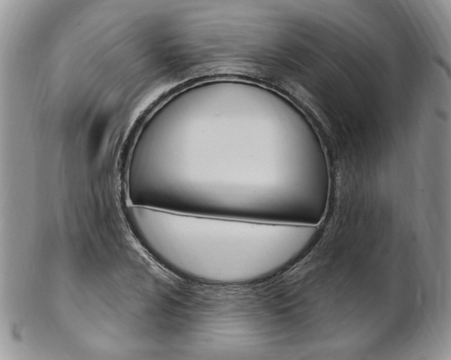 X0000103171024200808221123