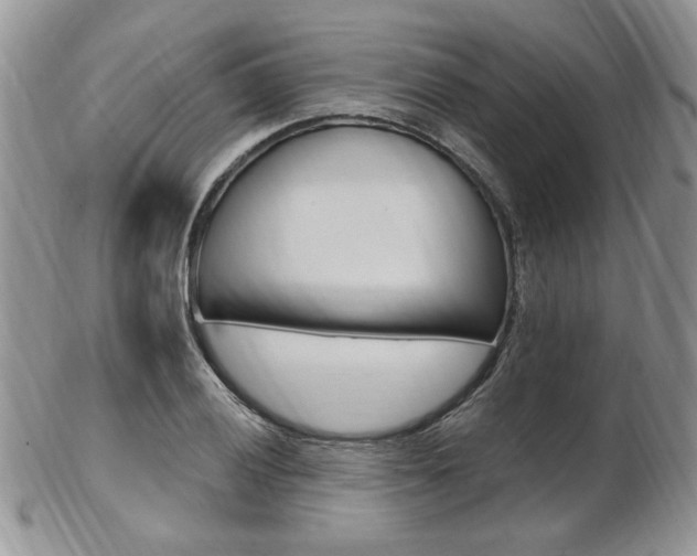 X0000103171028200808221123