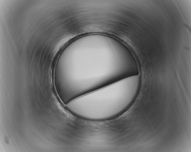 X0000103171030200808221123
