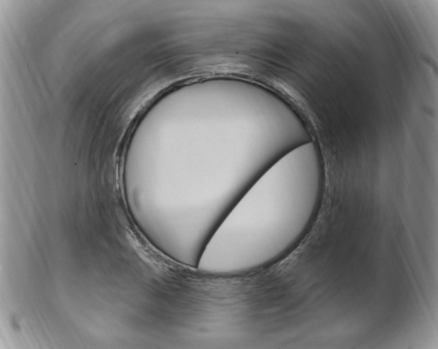 X0000103171031200808221123