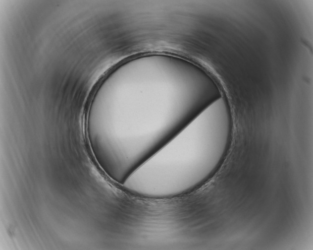 X0000103171032200808221123