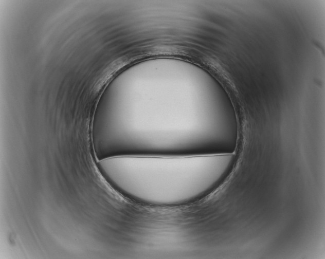 X0000103171033200808221123