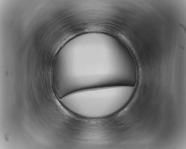 X0000103171041200808221124