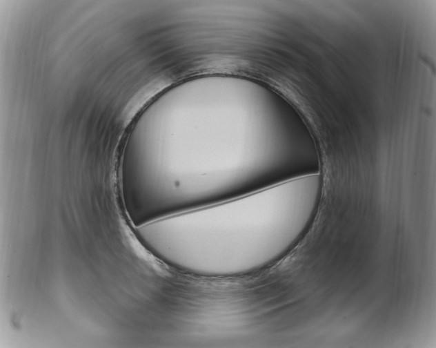 X0000103171042200808221124